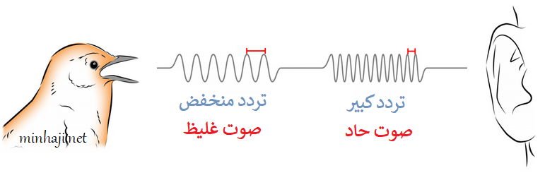 درجة الصوت